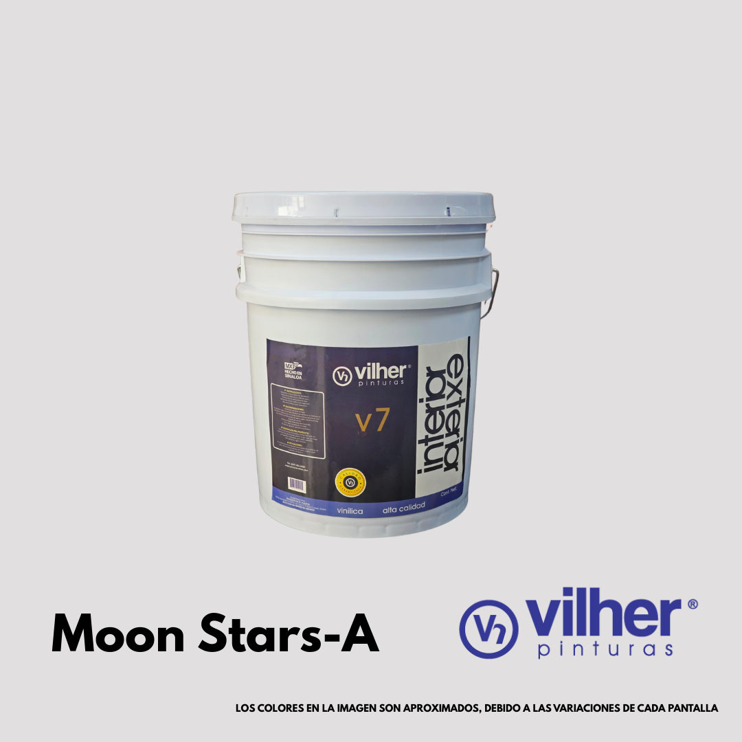 Pintura Vilher V7 Vinílica Acrílica 19 Litros 7 Años Interior y Exterior
