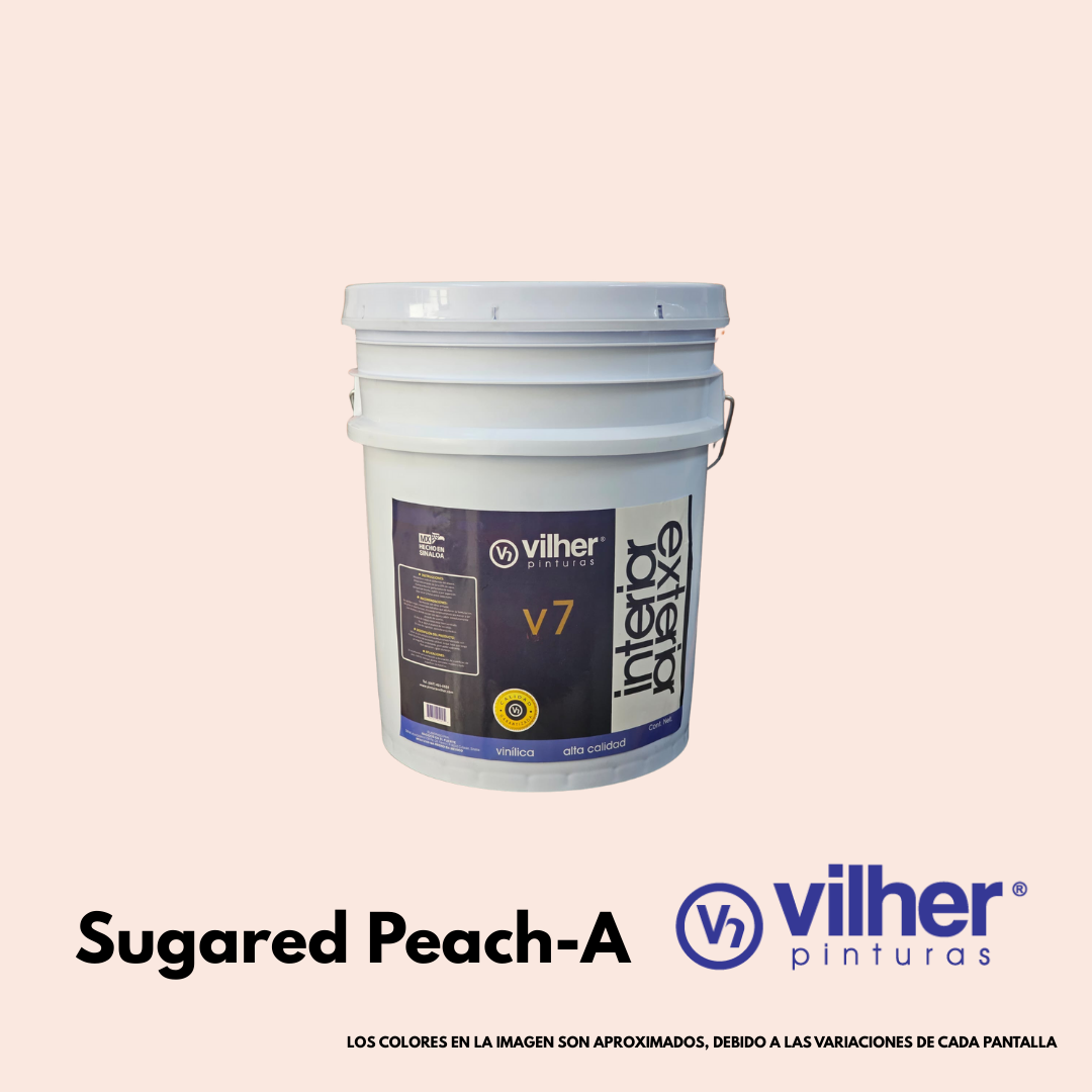 Pintura Vilher V7 Vinílica Acrílica 19 Litros 7 Años Interior y Exterior