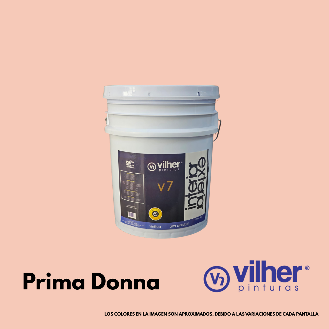 Pintura Vilher V7 Vinílica Acrílica 19 Litros 7 Años Interior y Exterior