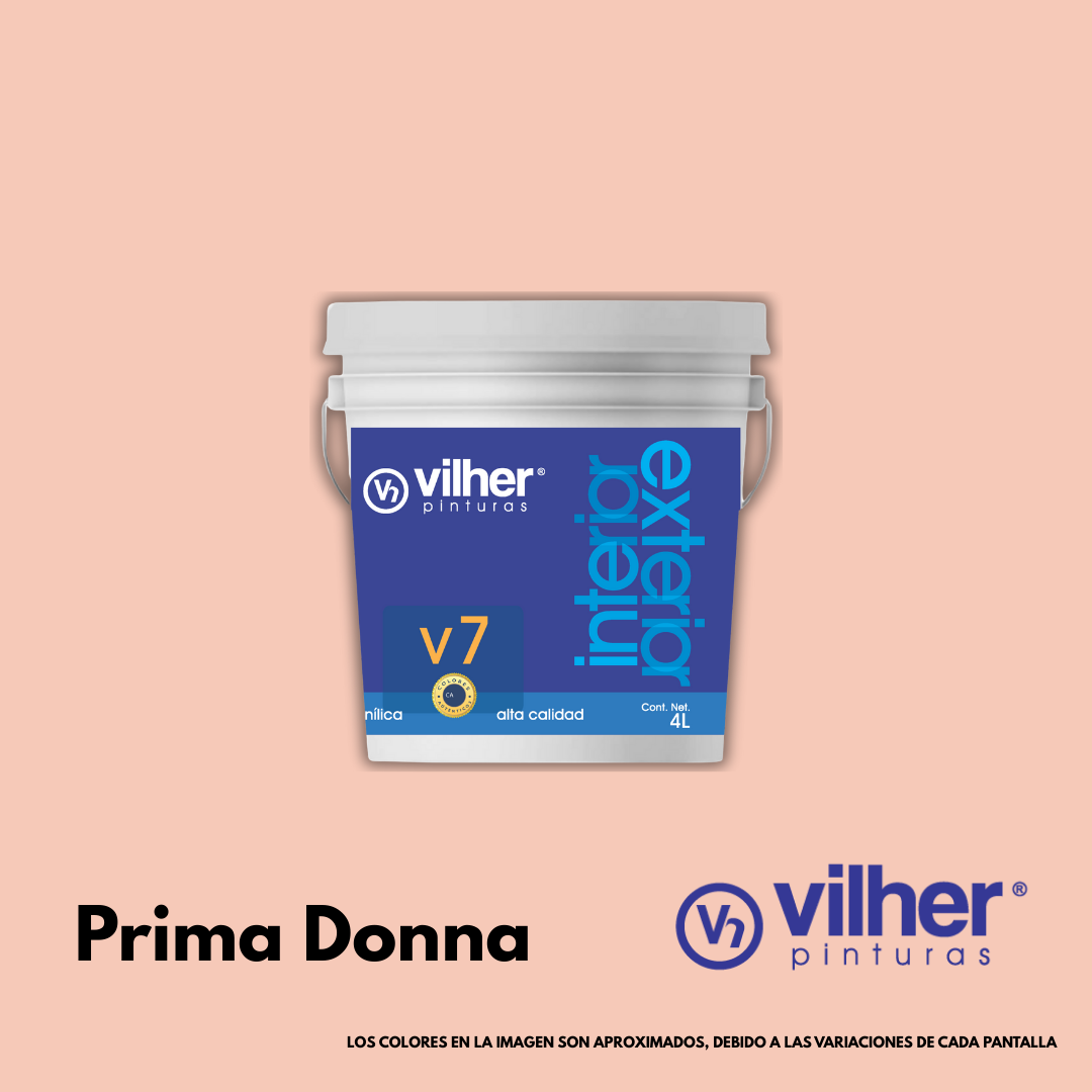 Pintura Vilher V7 Vinílica Acrílica 4 Litros 7 Años Interior y Exterior