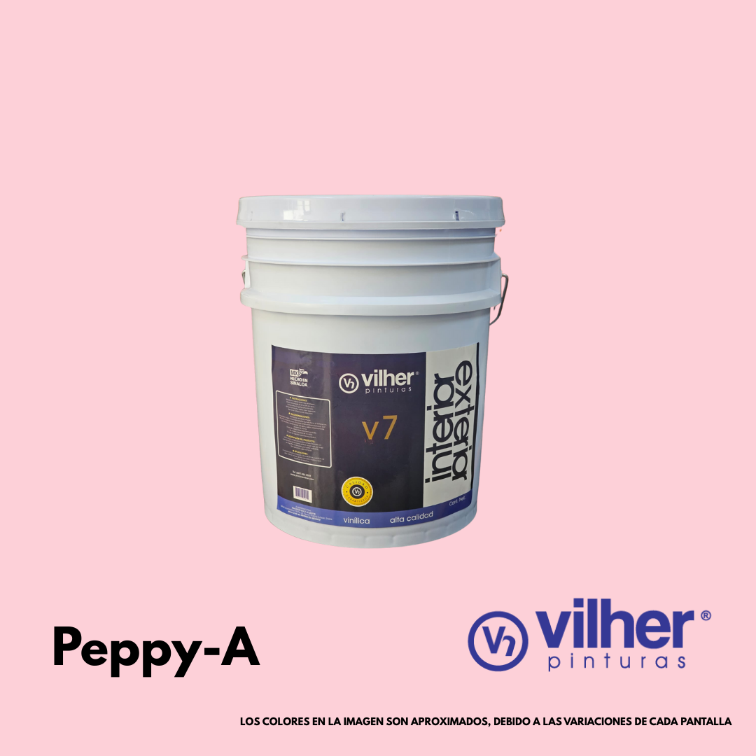 Pintura Vilher V7 Vinílica Acrílica 19 Litros 7 Años Interior y Exterior