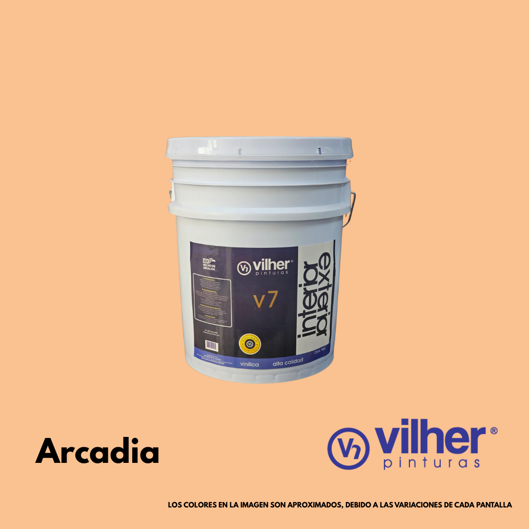 Pintura Vilher V7 Vinílica Acrílica 19 Litros 7 Años Interior y Exterior
