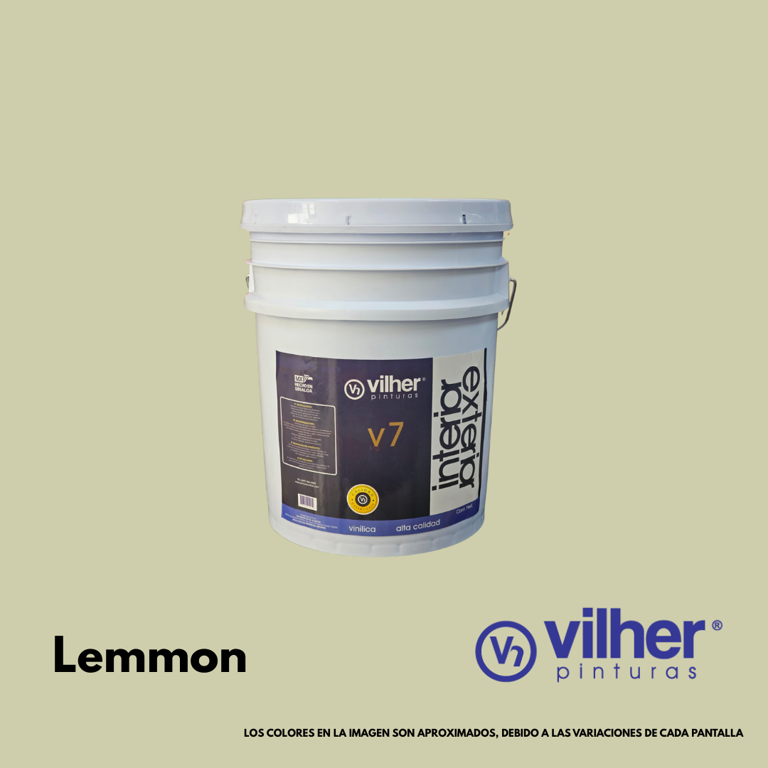 Pintura Vilher V7 Vinílica Acrílica 19 Litros 7 Años Interior y Exterior