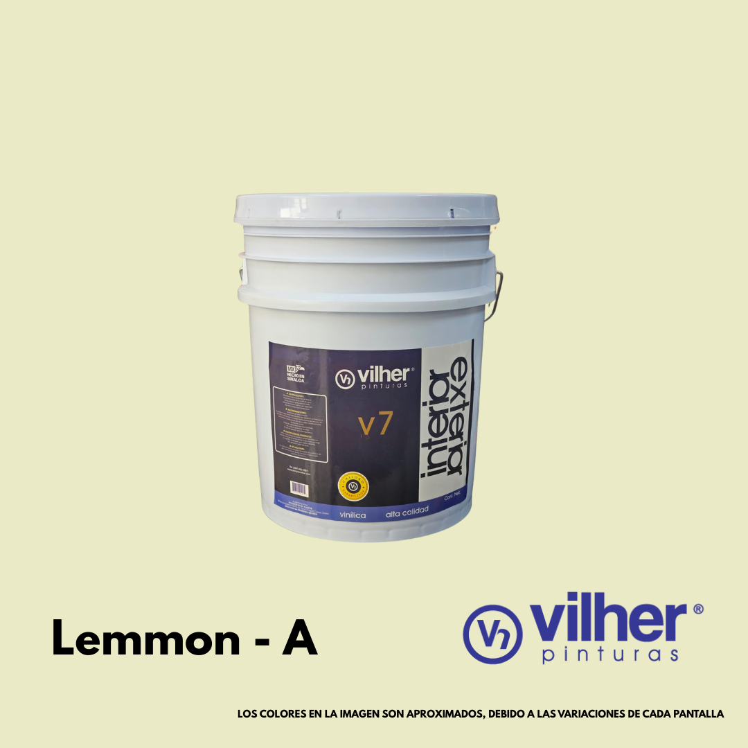Pintura Vilher V7 Vinílica Acrílica 19 Litros 7 Años Interior y Exterior