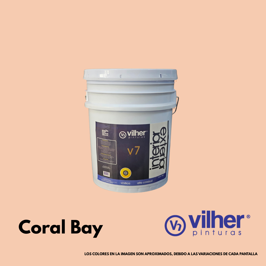 Pintura Vilher V7 Vinílica Acrílica 19 Litros 7 Años Interior y Exterior