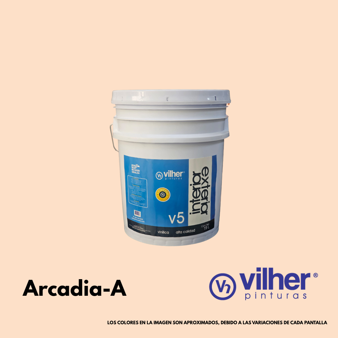 Pintura Vilher V5 Vinílica Acrílica 19 Litros 5 Años Interior y Exterior