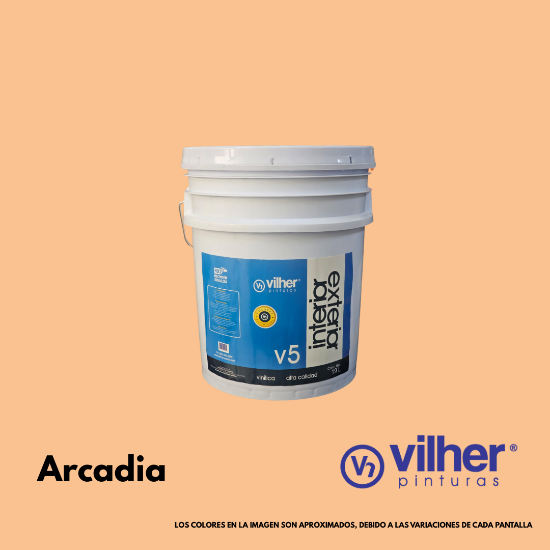Pintura Vilher V5 Vinílica Acrílica 19 Litros 5 Años Interior y Exterior