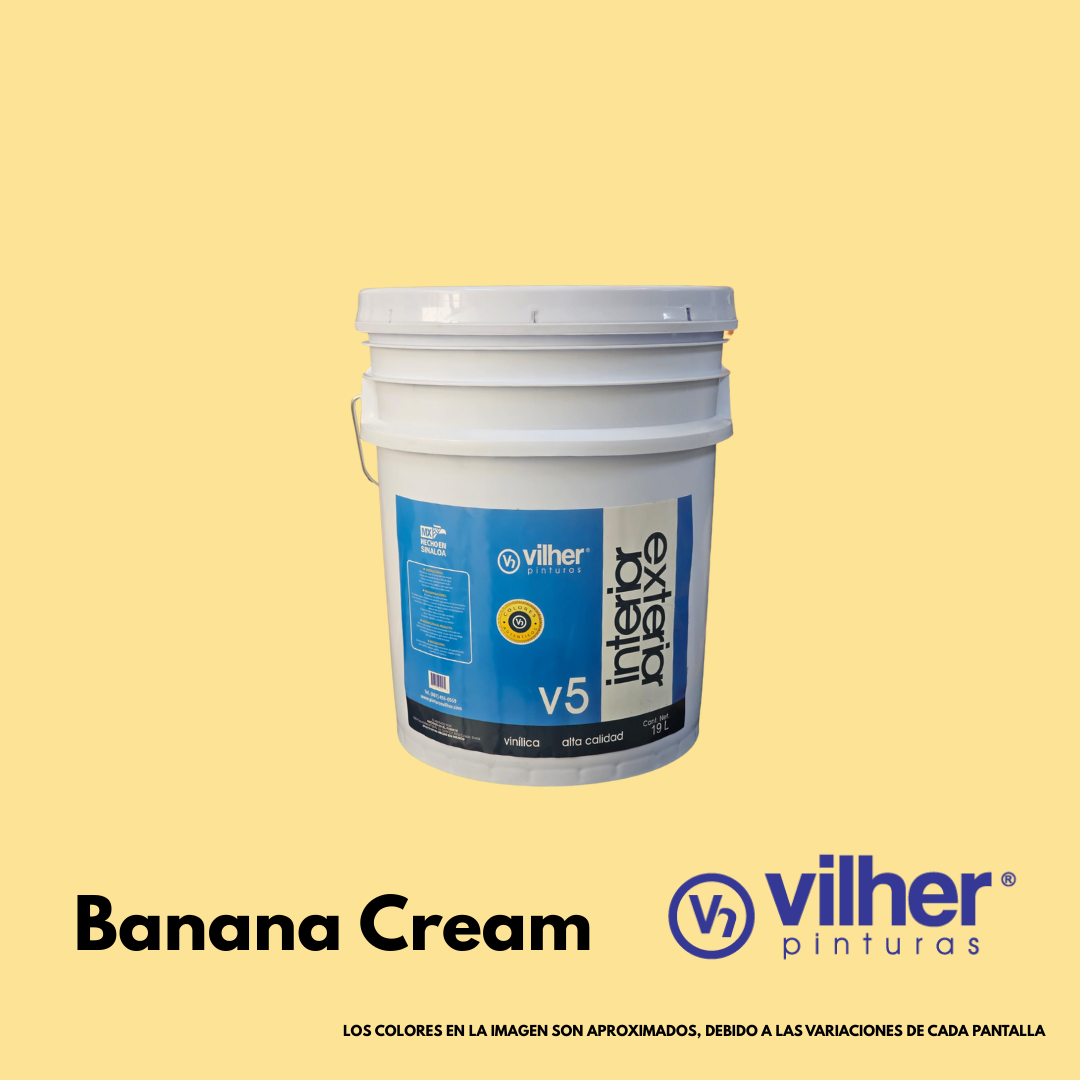 Pintura Vilher V5 Vinílica Acrílica 19 Litros 5 Años Interior y Exterior