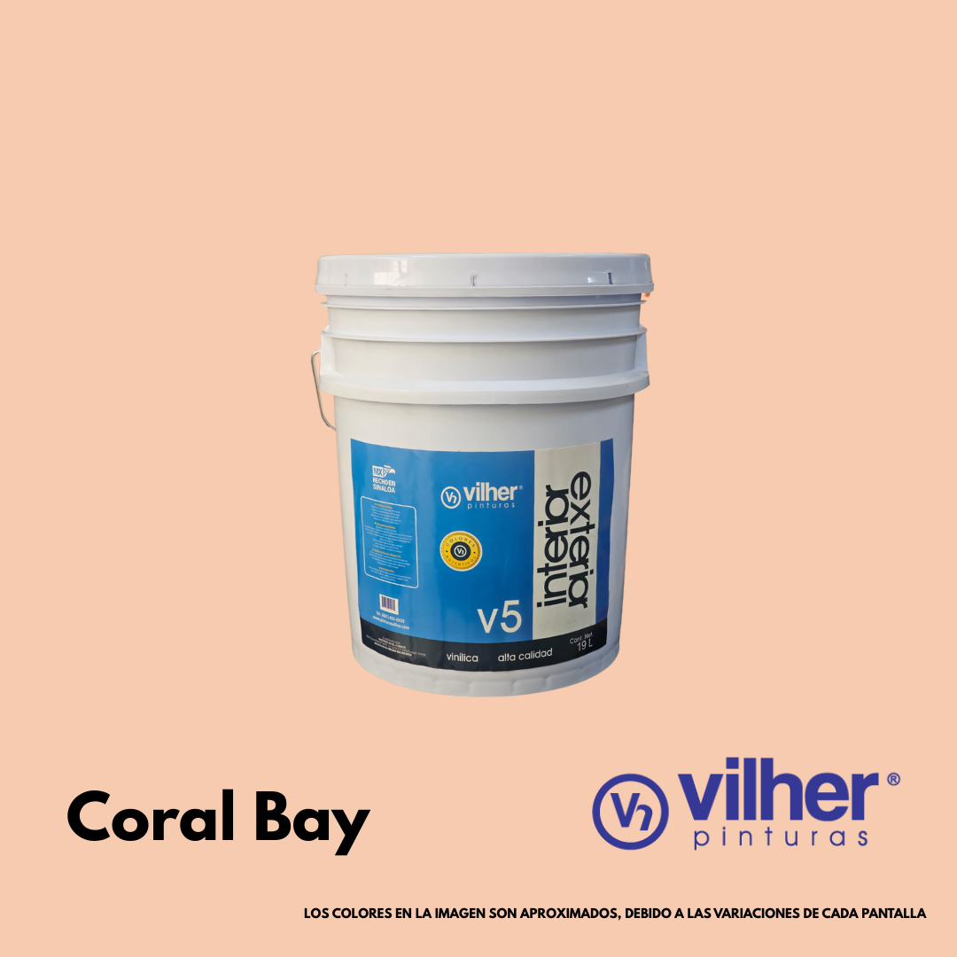 Pintura Vilher V5 Vinílica Acrílica 19 Litros 5 Años Interior y Exterior