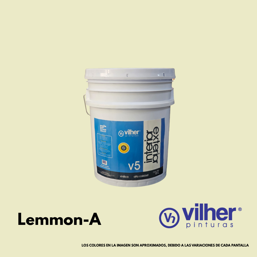Pintura Vilher V5 Vinílica Acrílica 19 Litros 5 Años Interior y Exterior