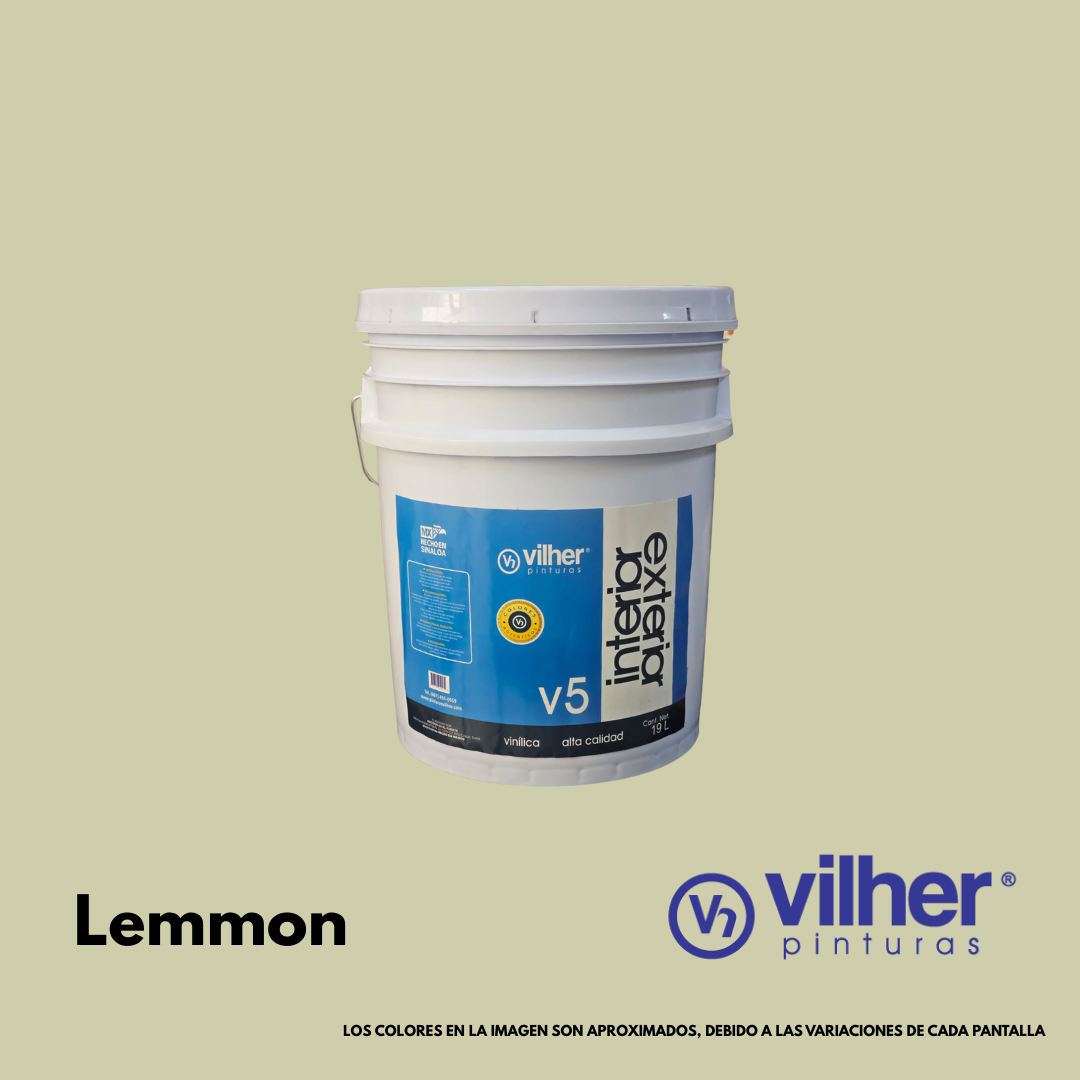 Pintura Vilher V5 Vinílica Acrílica 19 Litros 5 Años Interior y Exterior