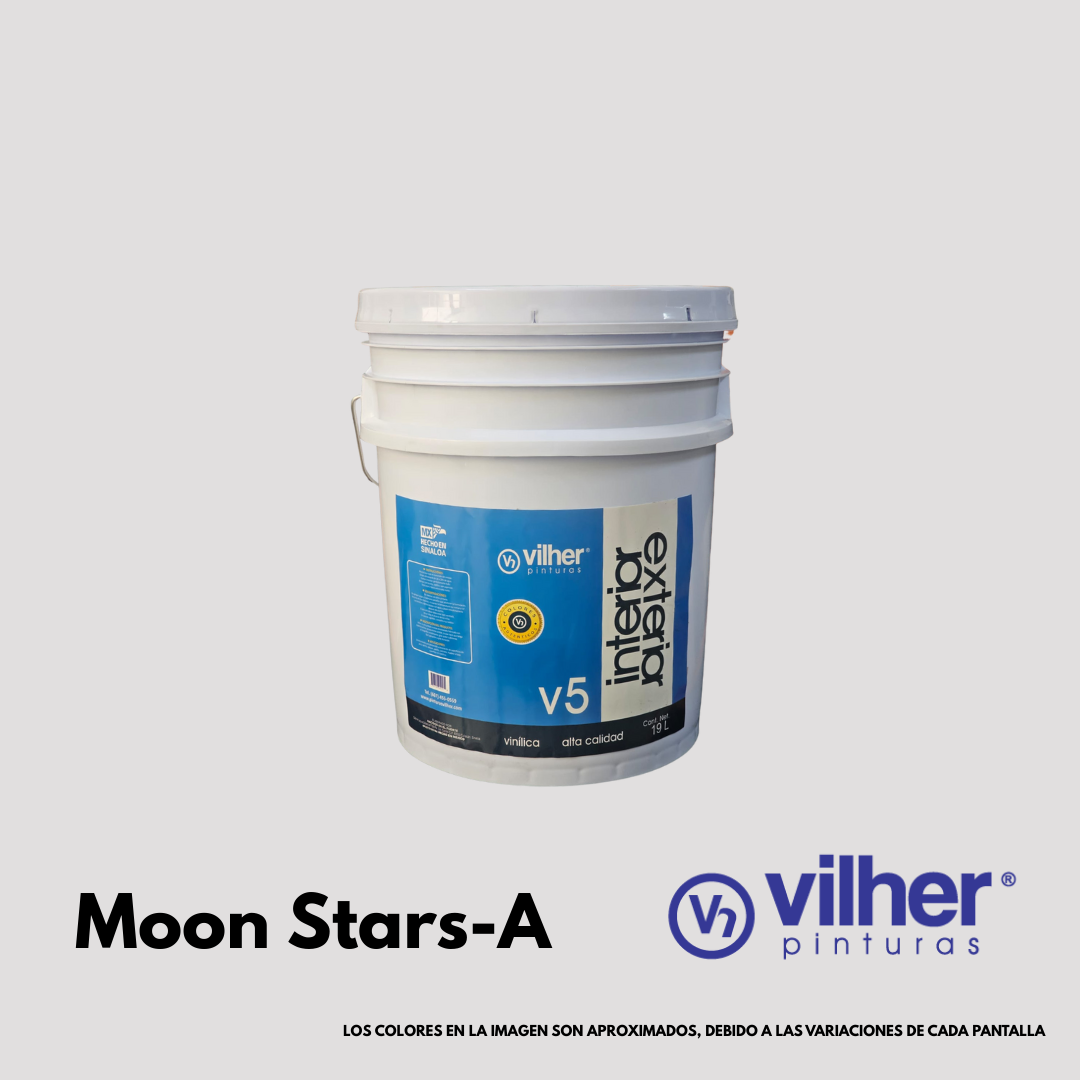 Pintura Vilher V5 Vinílica Acrílica 19 Litros 5 Años Interior y Exterior