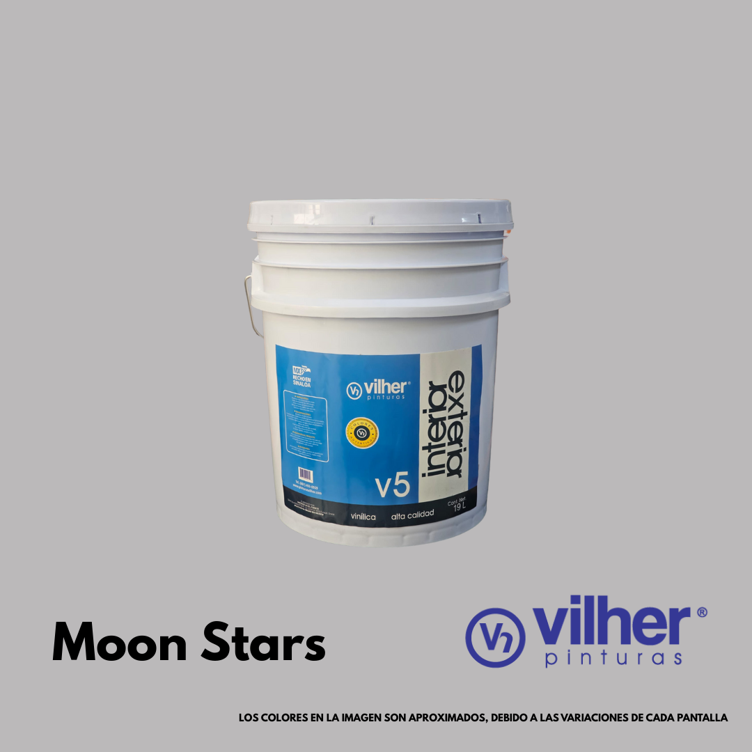Pintura Vilher V5 Vinílica Acrílica 19 Litros 5 Años Interior y Exterior