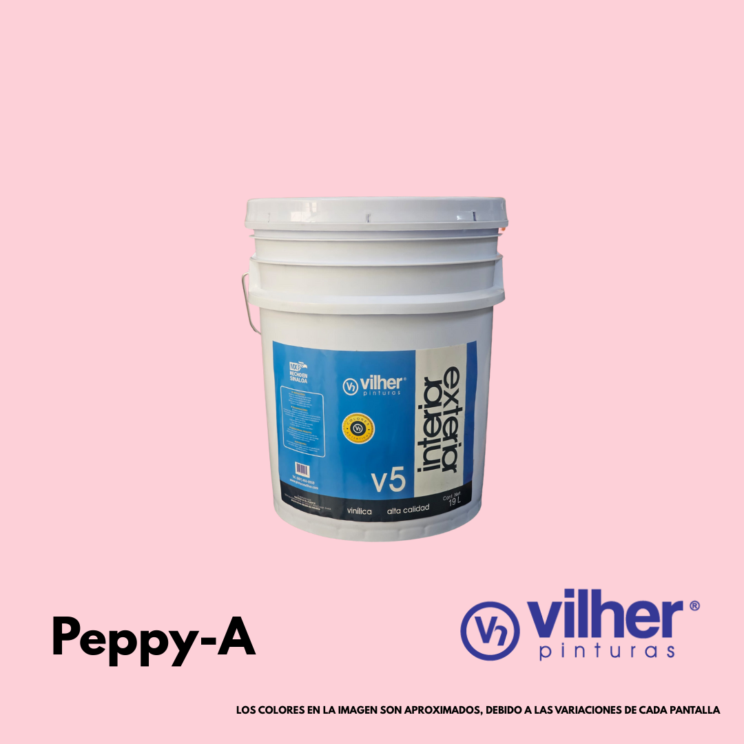 Pintura Vilher V5 Vinílica Acrílica 19 Litros 5 Años Interior y Exterior