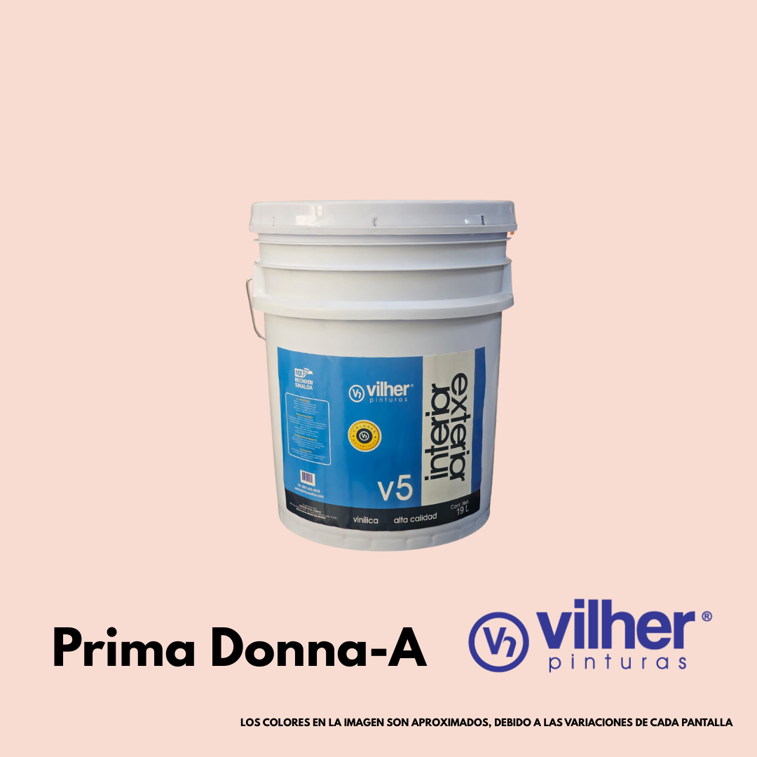 Pintura Vilher V5 Vinílica Acrílica 19 Litros 5 Años Interior y Exterior