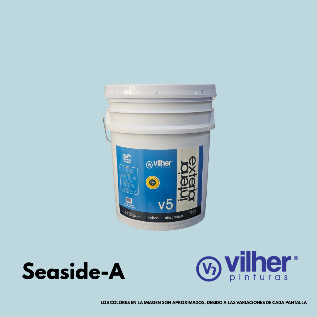 Pintura Vilher V5 Vinílica Acrílica 19 Litros 5 Años Interior y Exterior