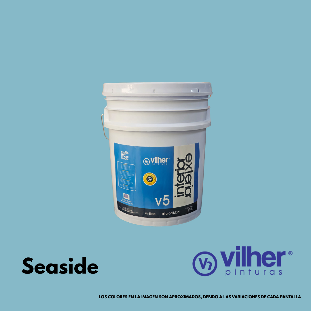 Pintura Vilher V5 Vinílica Acrílica 19 Litros 5 Años Interior y Exterior