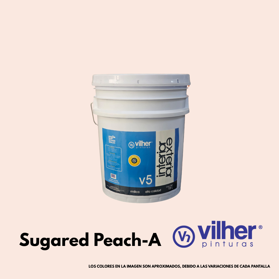 Pintura Vilher V5 Vinílica Acrílica 19 Litros 5 Años Interior y Exterior