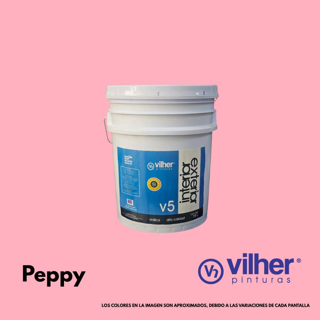 Pintura Vilher V5 Vinílica Acrílica 19 Litros 5 Años Interior y Exterior